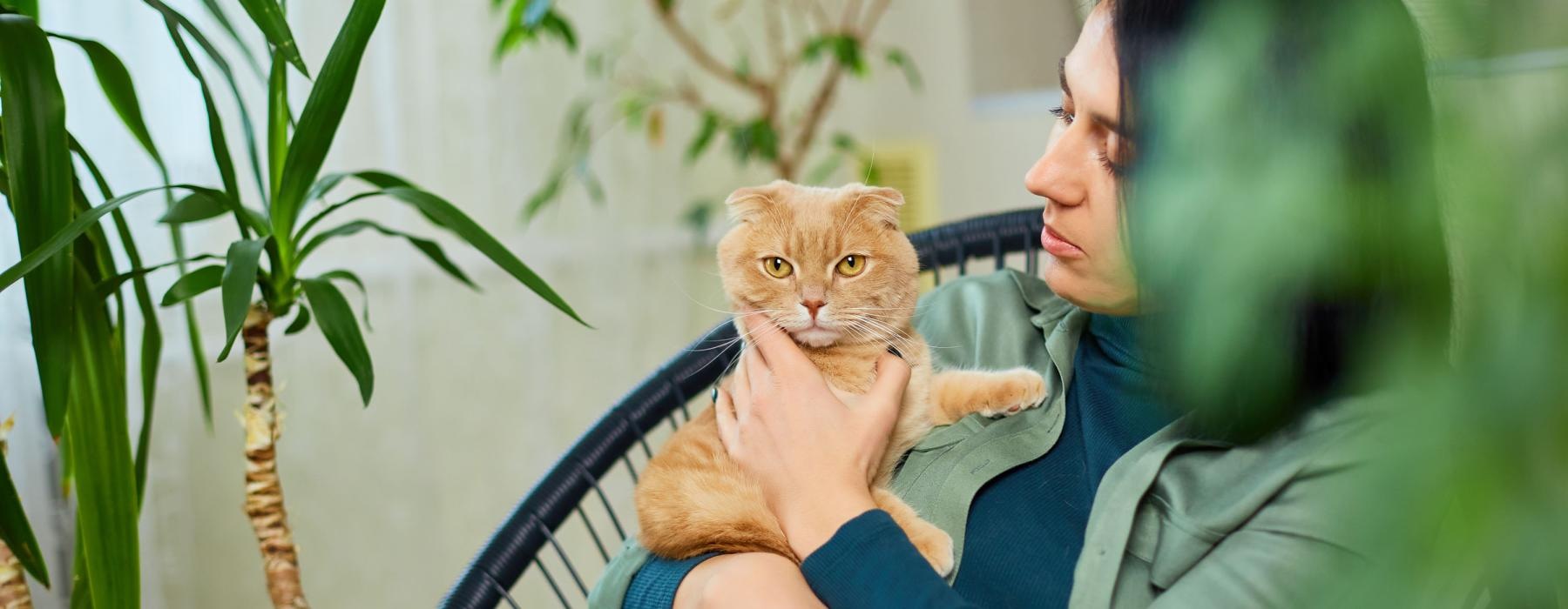 a woman holding a cat
